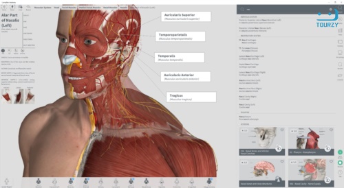Complete Anatomy ứng dụng thực tế tăng cường cho iphone